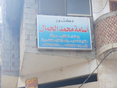أسامة محمد الجمال