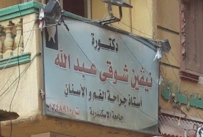 نيفين شوقى عبدالله