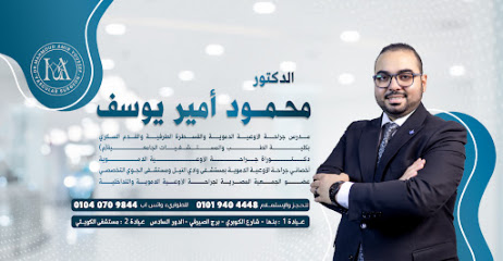 Mahmoud Amyr Youssef