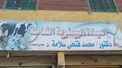 محمد فتحي سلامه