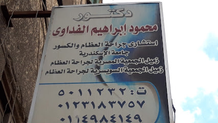 Mohamed Ibrahim El-Fdawy
