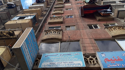 عمرو حسنى
