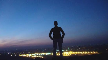 محمود الهلالى