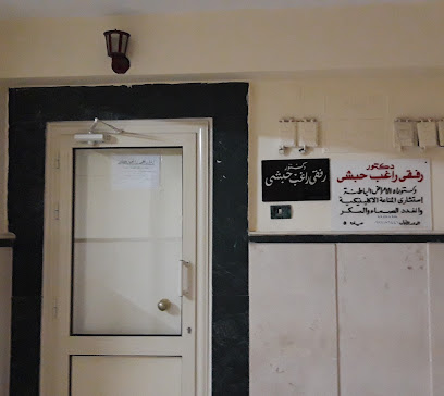 رفقى راغب حبشى