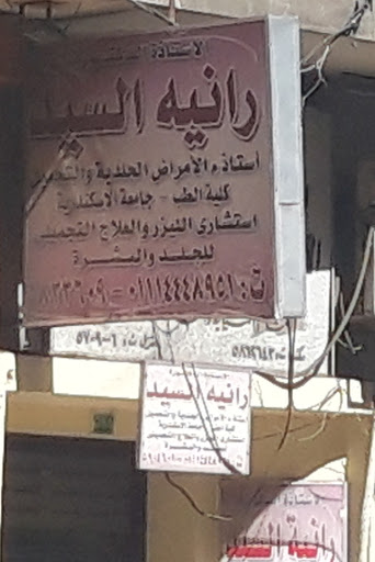 رانيه السيد