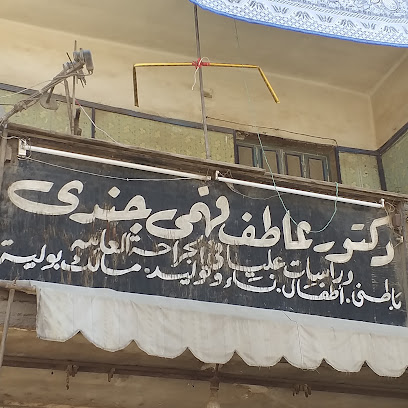 عاطف فهمى جندى