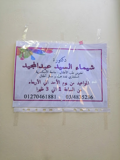 Shaimaa El-Sayed Abdelmagid