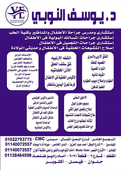 يوسف النوبي