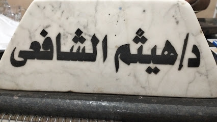 هيثم الشافعي