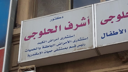 Ashraf El-Hlwgy