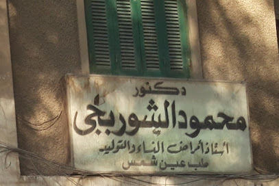 Mahmoud Ali Ahmed El-Shwrbgy