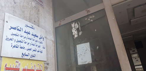 Wael Said Abdelnasser