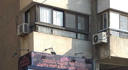 هشام سيد احمد