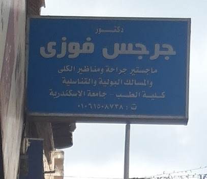 جرجس فوزى