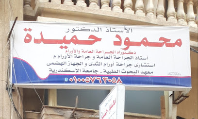 محمود حميدة