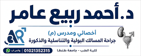 Ahmed Rbya Aamr