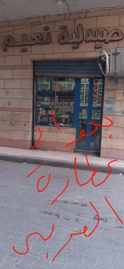 Ali Mohamed Ahmed El-Syad