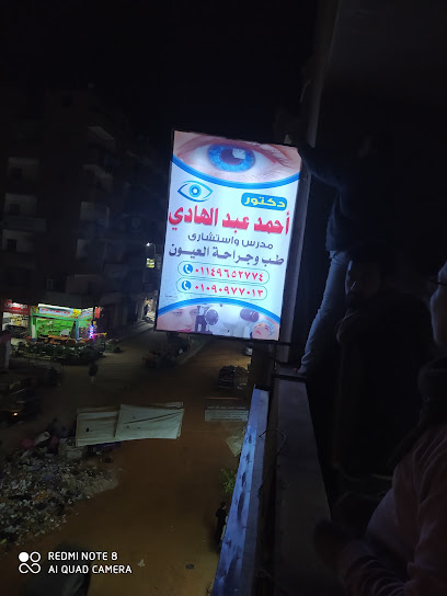 Ahmed Abdelhady Frag