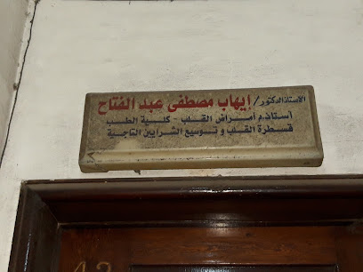 Ayhab Mostafa Abdelfattah