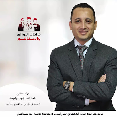 محمد عبد الجليل أبو قميحة