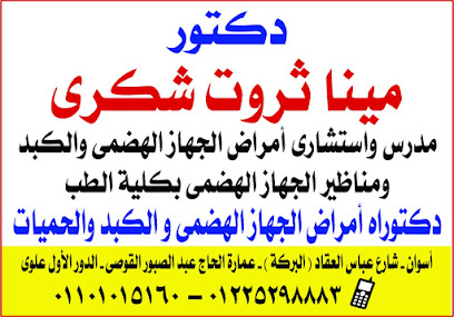 مينا ثروت شكري