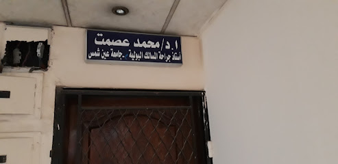 Mohamed Asmt