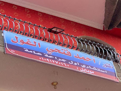 Ahmed Fathy El-Ghwl