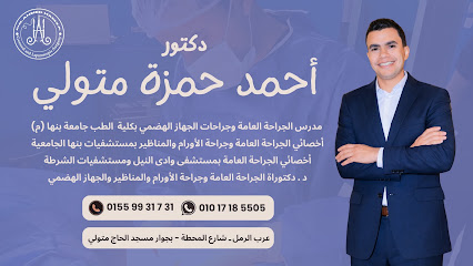 Ahmed Hmzh Metwally