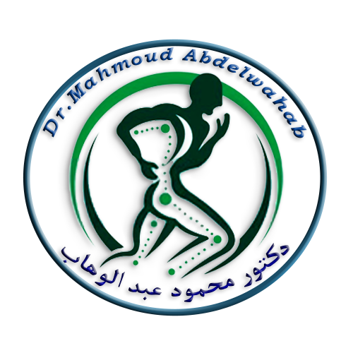 Mahmoud Abdelwahab