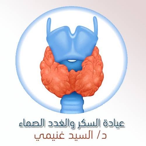 El-Sayed Ghnymy