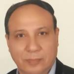 Adel Shafek