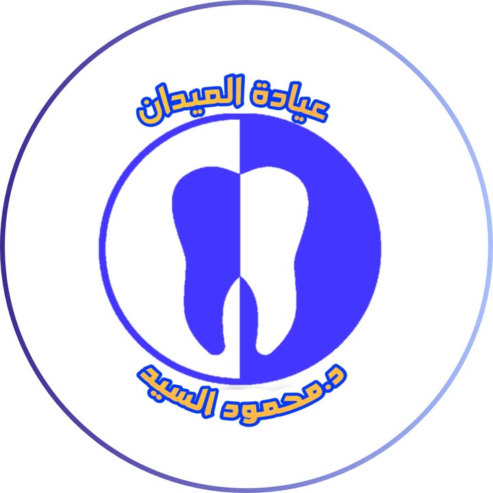 محمود السيد ابراهيم