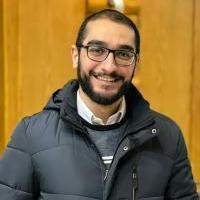 Mohamed Ali Metwally