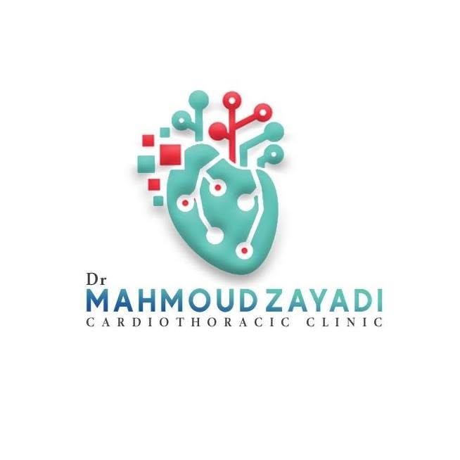 محمود الزيادي