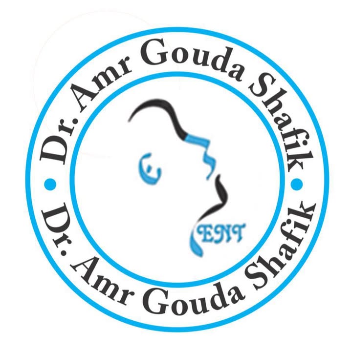 Dr Amr Gouda