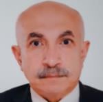 Amr Nadem
