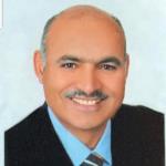 مدحت بهى الدين محمد