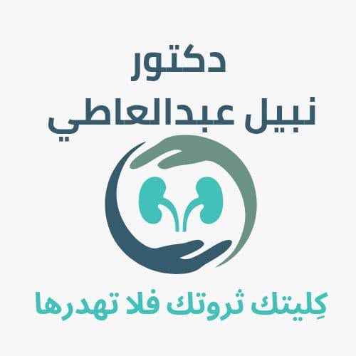 نبيل عبدالعاطي