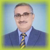 سامي نبيل داود