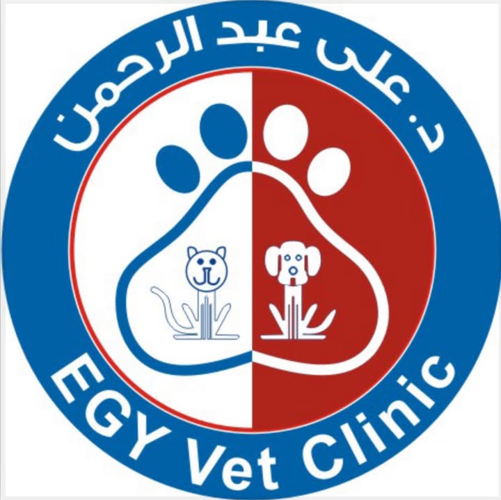 عمرو عبدالرحمن