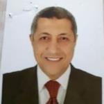 مدحت محمود عليوه