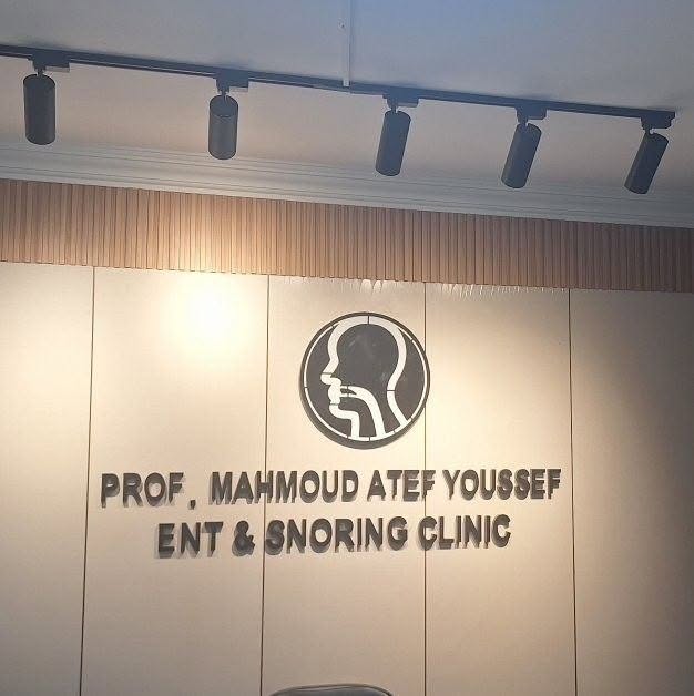 محمود عاطف يوسف