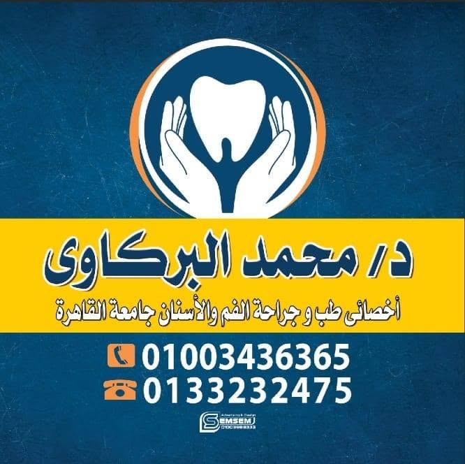 محمد البركاوي