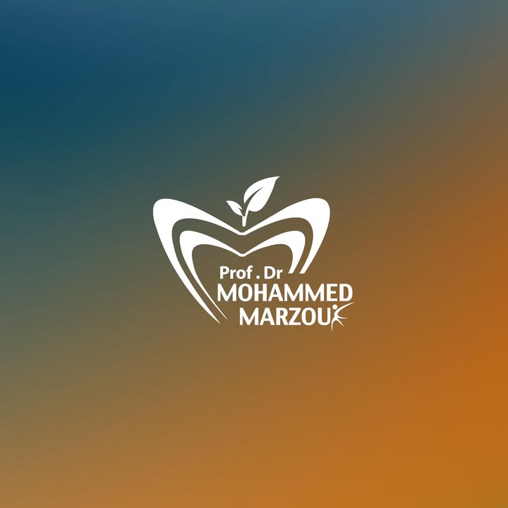 Mohamed Abdelmoneim Marzouk