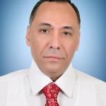 Hatem Abo Elenin