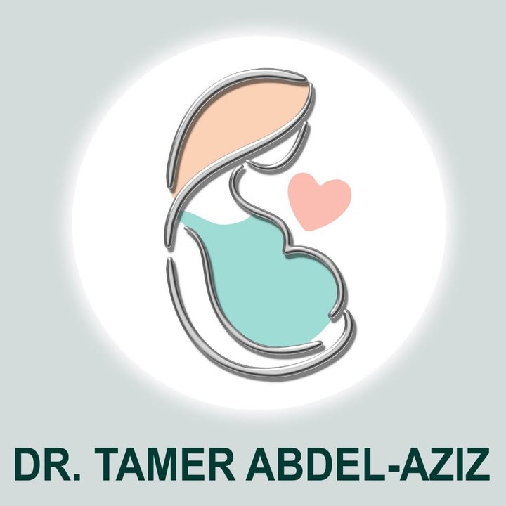 Tamer Mohamed Abdelaziz