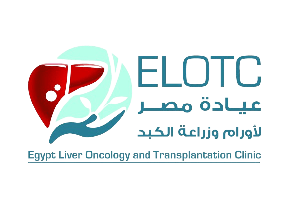 عمرو احمد عبد العال
