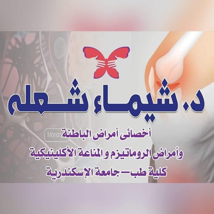 Shaimaa Shalh