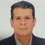 عادل وصفى