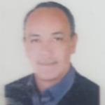 Salah Elddin Saleh